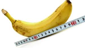 Normalnya, untuk ukuran mr p, adalah antara 12 hingga 17 cm. Digugat Mertua Karena Kelamin Terlalu Besar Berapa Ukuran Rata Rata Mr P