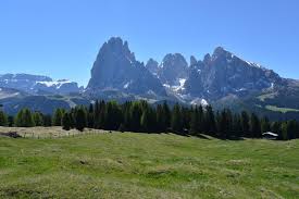 Happy birthday, til schweiger ! Honig Im Kopf 2 Sudtirol Wolfgangs Filmlocationguide