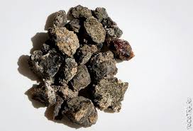 Image result for Commiphora kua