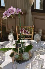 Radiant Orchid 2014 Color Floral Design Potted Orchid Centerpiece Orchid Centerpieces Wedding Wedding Centerpieces