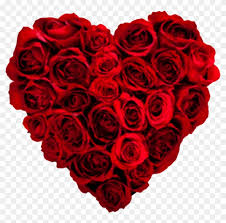 Bel aire flowers is passionate about floral arrangements, especially valentine's day 2020! Buxton Spa Aromatics Happy Valentines Day Flowers Free Transparent Png Clipart Images Download