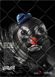 Circus Animal Cruelty Ads Statistics How You Can Help Circus Animals Save Animals Poster Animal Cruelty Awareness