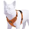 We have the right dog collar for you. 1