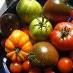 Check spelling or type a new query. Tomato Plants And Temperature Lowest Temperature To Grow Tomatoes