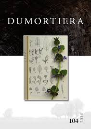 Image result for Kotschya stolonifera