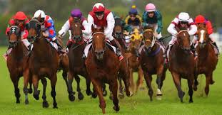 Best Racebook Software From A Top Pay Per Head Shop Horse Racing Bet Horses Horse Racing