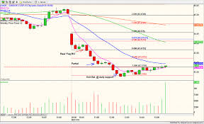 Wall St Warrior Day Trade Bear Flag Sandisk Corporation