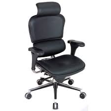 Raynor Ergohuman High Back Leather Chair Eur Le9erg Best Ergonomic Office Chair Affordable Leather Chair Office Chair