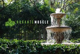 But there is no place more associated with the mythical. The Natural Path To The Fountain Of Youth Organic Muscle Fitness Supplements
