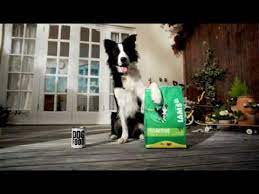 Iams dog food is a popular dog food brand, but is it good quality? Gardeningessentials Co Uk 3kg Iams Dog Food Equivalent To Over 37 Tins Of Wet Food Youtube
