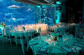 Unique Wedding Ideas Aquarium Venues Photos Invitations Tips