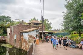 Animal kingdom cell phone tower. Photos Land Clearing For Rumored Club 33 Location At Disney S Animal Kingdom
