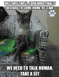 Carlos The Cat On Twitter Funny Cat Photos Funny Cat Pictures Silly Animals