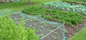 But the point of reference but you can make an affordable bed that's tailored to your gardening needs. How To Start A New Garden Bed Removing Grass For A Garden The Old Farmer S Almanac