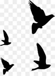 Pngtree menawarkan burung gambar png dan vektor, serta gambar clipart burung latar belakang transparan dan file psd. Siluet Burung Unduh Gratis Burung Halloween Siluet Menangis Halloween Penyihir Siluet Burung Gambar Png