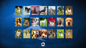 Play jigsaw puzzles play jigsaw puzzles with various sizes (from 9 to 144 pieces) with our unique online system. Puppy Dog Jigsaw Puzzles Wingamestore Com