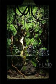 Allwissende Gewogene Aquaponik Diy How To Mit Bildern Terrarien Aquarien Aquarium Aquascape