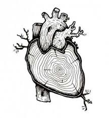 Black And White Sketch Artists 46 Trendy Tattoo Heart Tree Ink Anatomy Art Artist Sketches Pencil Sketch Images