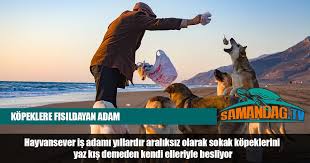 Kopeklere Fisildayan Adam Baslik Kemal Yilmaz Samandag Tv