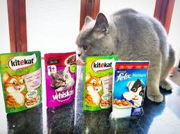 Which One Should I Start With Which Is Your Favourite One Cat Cats Cats Of World Cats Of Instagram Cats Today Pouc Felix The Cats Cat Photo Cat Food