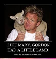 Like Mary Gordon Had A Little Lamb Gordon Ramsay Gordon Ramsay Funny Ramsay
