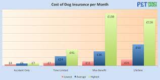 Healthcare costs are rising across the board, and pet healthcare is no exception. How Much Is Dog Insurance Petmoneysaver