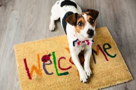 Call our animal hospital today. Veterinarians Stillwater Oklahoma All Pets Veterinary Hospital