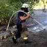 Calls for Stronger German Government Action Amidst Heat, Drought, and Wildfires