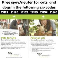 $150 tom, domestic shorthair for adoption in philadelphia, pennsylvania. Freespayneuter Do Citizens For A No Kill Philadelphia Facebook