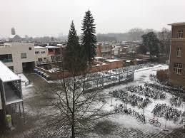 Pagesbusinessesnonprofit organizationhondentraining snuffelpuppyvideosgeen ijzel op komst, geen sneeuwpakken en ook belangrijk geen. Ijzel Sneeuw Of Regen Niets Houdt Onze H Pius X Instituut Antwerpen Facebook