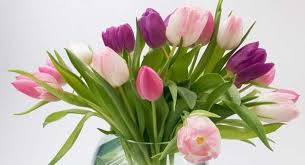 Mazzo di fiori disegno da colorare tutto disegni is one of our best images of mazzi di fiori da colorare and its resolution is 595x822 pixels. Mazzo Di Fiori Come Sceglierlo Idee Green