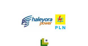 Syarat kerja di kapal pesiar, kamu harus tau !! Loker Pt Haleyora Powerindo Pln Group Tingkat Smk D3 S1 Tahun 2020