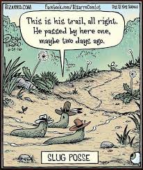 Pin By Vulpine On Bizzaro Funny Cartoon Pictures Cartoon Jokes Sick Humor