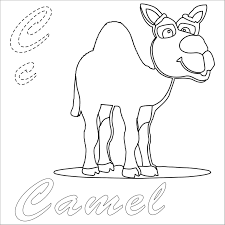Maybe you would like to learn more about one of these? Cartoon C For Camel Coloring Page Coloringbay