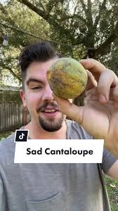 Cantaloupe Growing Challenges: A Garden Experience