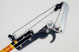 You do not need to run cables or struggle to start a gas engine that has been laid up for too long. 4 Types Of Pole Pruners For Trimming Trees