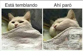 Contacto@chiletemblores.cl acceso directo a prensa +56951163635. Invoca Al Cristo De Mayo Los Memes Que Dejo El Sismo Que Se Percibio En Chile Y Argentina