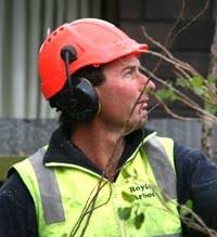 Christchurch Tree Maintenance