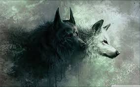 Check spelling or type a new query. Hd Wolf Wallpapers 4k Hd Wolf Backgrounds On Wallpaperbat