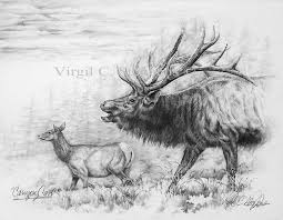 Canyon Call Pencil Drawing By Western Cowboy Artist Virgil C Stephens Wildlife Prints Deer Drawing Cowboy Artists
