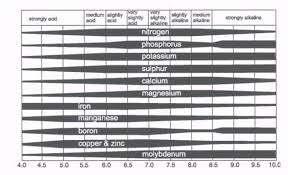 Controlling Ph Levels In Soil Balancing Alkaline Soil And