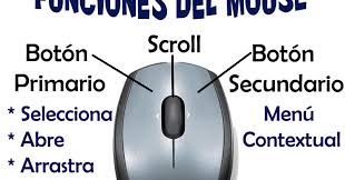 Resultado de imagen para mouse y sus partes