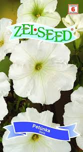 Image result for foto petúnie