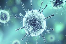 Corona Virus: Health Teams Deployed, Separate Wards At Hospitals ...