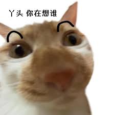 可爱猫咪wink表情包，俏皮眯眼加弯弯眉毛萌翻了》 表情包丨我给你跪下行不表情包图片- 求表情网,斗图从此不求人!