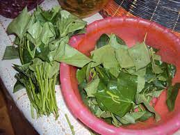 Tahukah anda, ubi keledek sebenarnya. Suria Amanda Resepi Pucuk Keledek Goreng Belacan