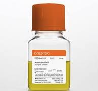Corning Amphotericin B 6 x 50 mL | Buy Online | Corning ...