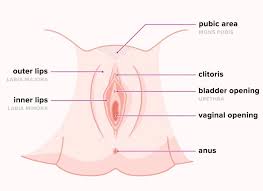 Ingrown hair on vagina, but, if the hair follicle appears infected or if you get ingrown hairs G Vagina General 4