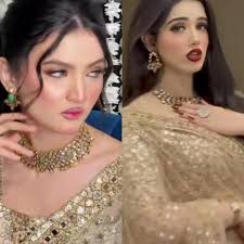 Hira Faisal Alina Amir Saree