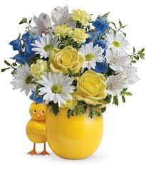 We did not find results for: Sweet Peep Bouquet Baby Blue New Baby Flowers Flower Delivery Flower Bouquet Delivery